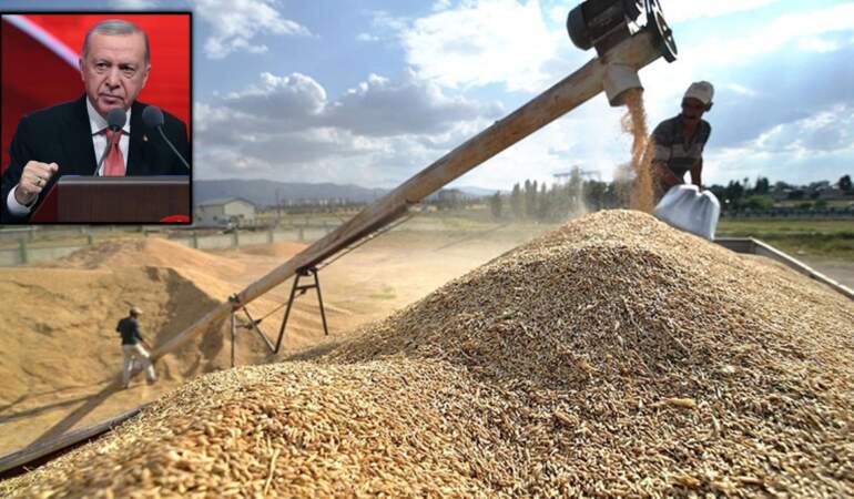 Hububat üreticileri Erdoğan’a seslendi: Biz bu ülkenin üvey evladı değiliz