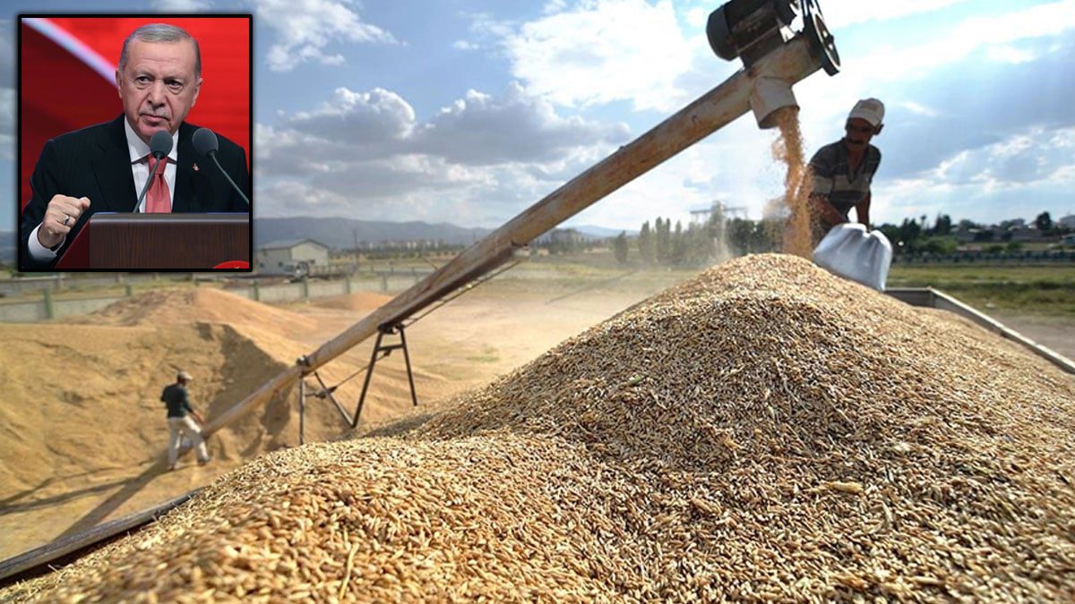 Hububat üreticileri Erdoğan’a seslendi: Biz bu ülkenin üvey evladı değiliz