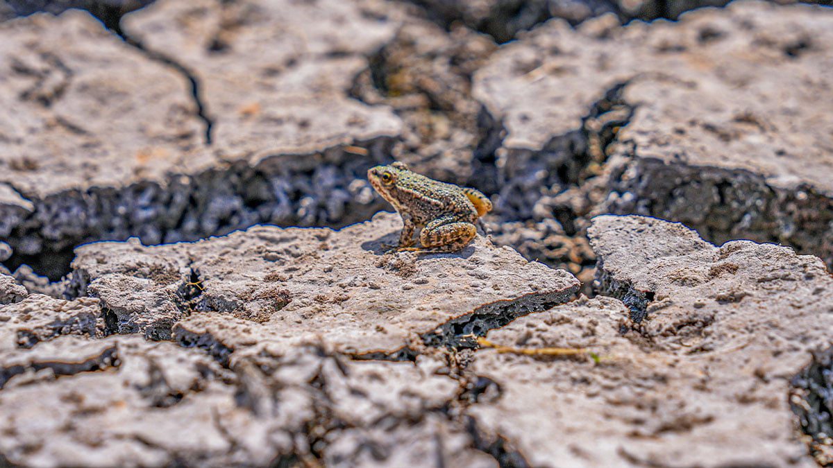 Yeraltı suları tükeniyor, sulak alanlar kayboluyor… Türkiye 2050’ye kadar su fakiri ülke olma riskiyle karşı karşıya