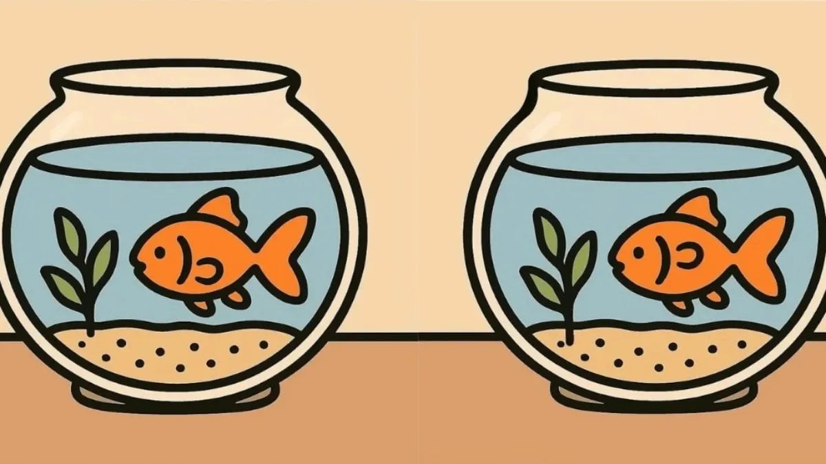 Gözlerinize güvenmeyin! Bu resimdeki 3 küçük farkı sadece en dikkatliler bulabiliyor