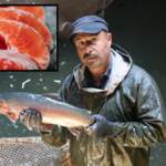Tatlı suda yetişiyor, tuzlu suya alınıyor! 4 kg ağırlığa kadar ulaşıyor: AB liderliği sonrası hedef 1 milyar dolarlık ihracat