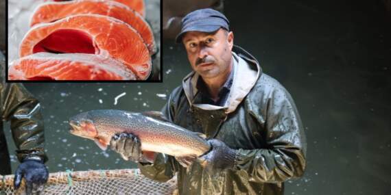 Tatlı suda yetişiyor, tuzlu suya alınıyor! 4 kg ağırlığa kadar ulaşıyor: AB liderliği sonrası hedef 1 milyar dolarlık ihracat