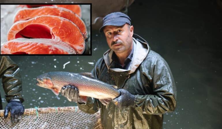 Tatlı suda yetişiyor, tuzlu suya alınıyor! 4 kg ağırlığa kadar ulaşıyor: AB liderliği sonrası hedef 1 milyar dolarlık ihracat
