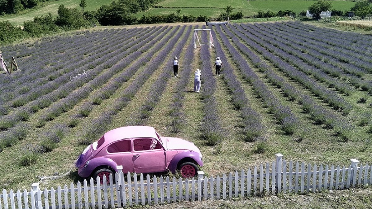 Daha dalındayken kazandırıyor, eken çokça kazandırıyor! Yağı, sabunu hatta ziyaretçisi bile para getiriyor
