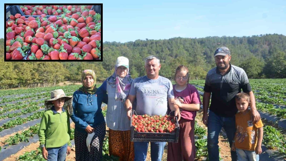 25 yıllık işlerini bırakıp yeni serüvene atıldılar! Devlet desteğiyle 5 yılda üretimi 30 kat arttırdılar: Perk çiftinin hikayesi
