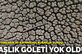 Hayvanların su kaynağıydı kuraklık vurdu! Taşlık Göleti yok oldu