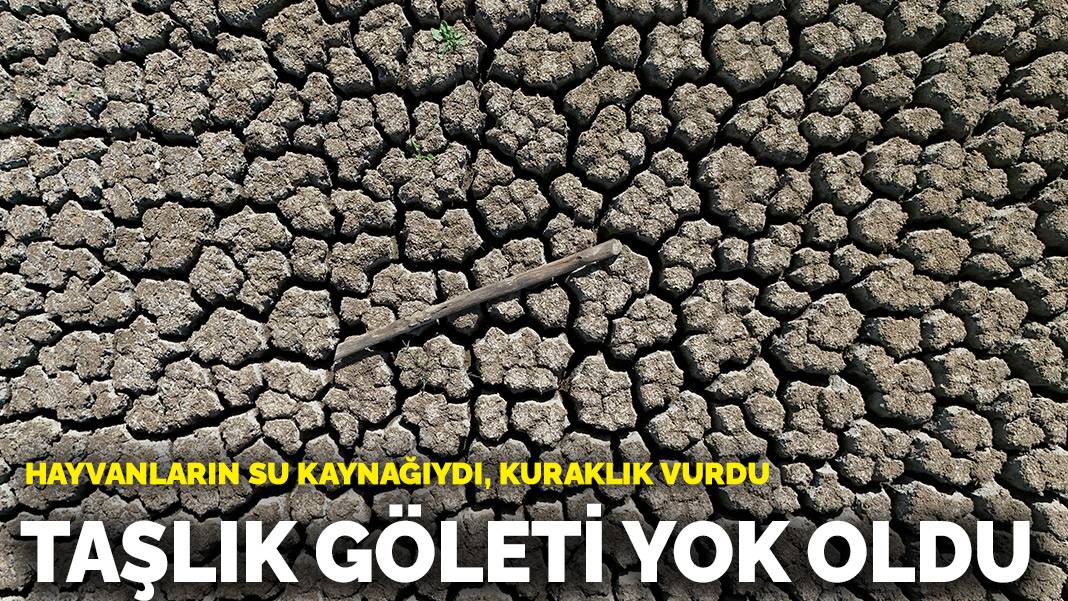Hayvanların su kaynağıydı kuraklık vurdu! Taşlık Göleti yok oldu