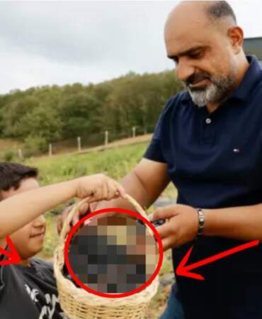 Mide rahatsızlığı için tüketti yeni gelir kapısı oldu! Oto tamircilikten üreticiliğe: Dalından koparmadan satıyor!