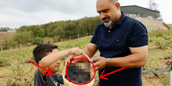 Mide rahatsızlığı için tüketti yeni gelir kapısı oldu! Oto tamircilikten üreticiliğe: Dalından koparmadan satıyor!