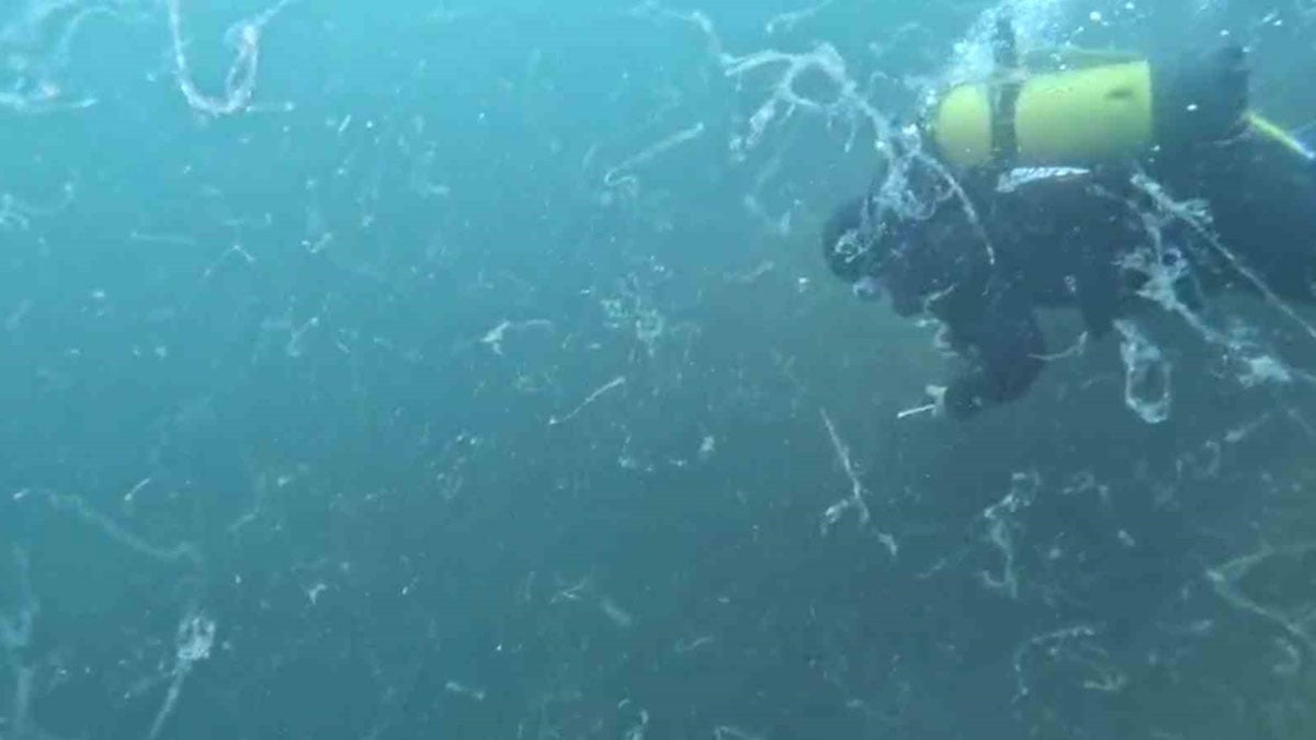 Dalgıçlar uyardı: Müsilaj erken başladı, 5 metrede yoğun tabaka var