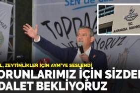 Özel, zeytinlikler için AYM’ye seslendi: Torunlarımız için sizden adalet bekliyoruz