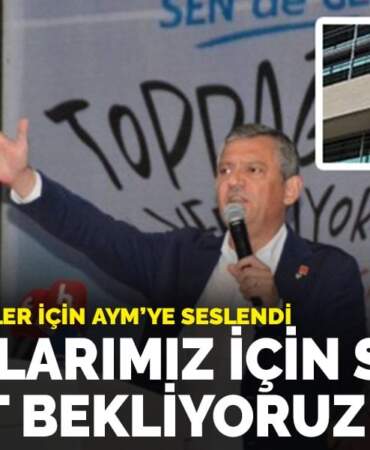 Özel, zeytinlikler için AYM’ye seslendi: Torunlarımız için sizden adalet bekliyoruz