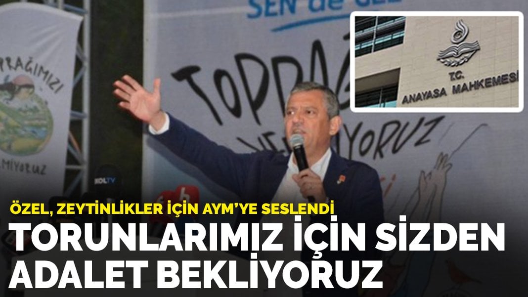 Özel, zeytinlikler için AYM’ye seslendi: Torunlarımız için sizden adalet bekliyoruz