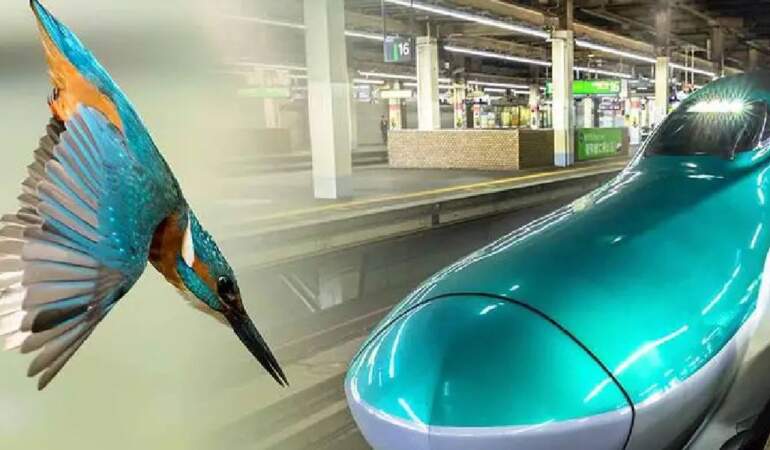 Japon mühendisler düşündü çözümü ‘Yalı Çapkını’nda buldu! Teknolojik gelişmelere doğadan çözüm!