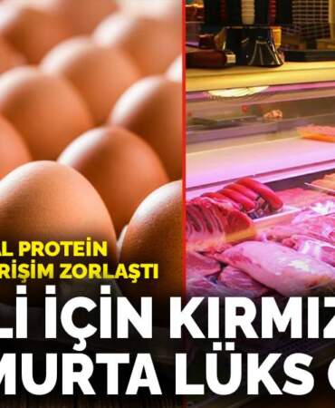 Temel hayvansal protein kaynaklarına erişim zorlaştı: Emekli için kırmızı et ve yumurta lüks oldu