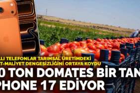 20 ton domates bir tane iPhone 17 ediyor