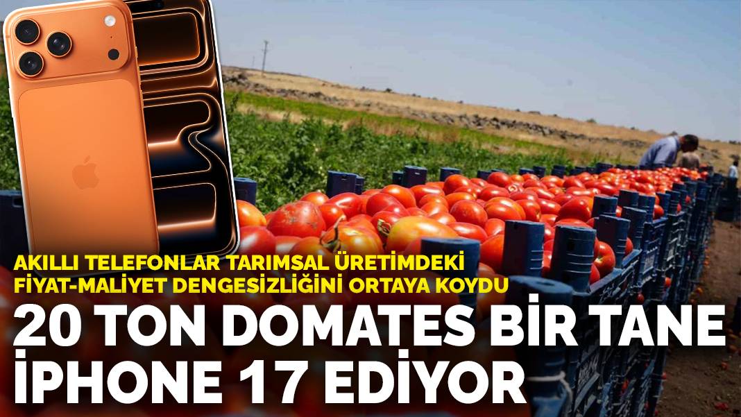 20 ton domates bir tane iPhone 17 ediyor