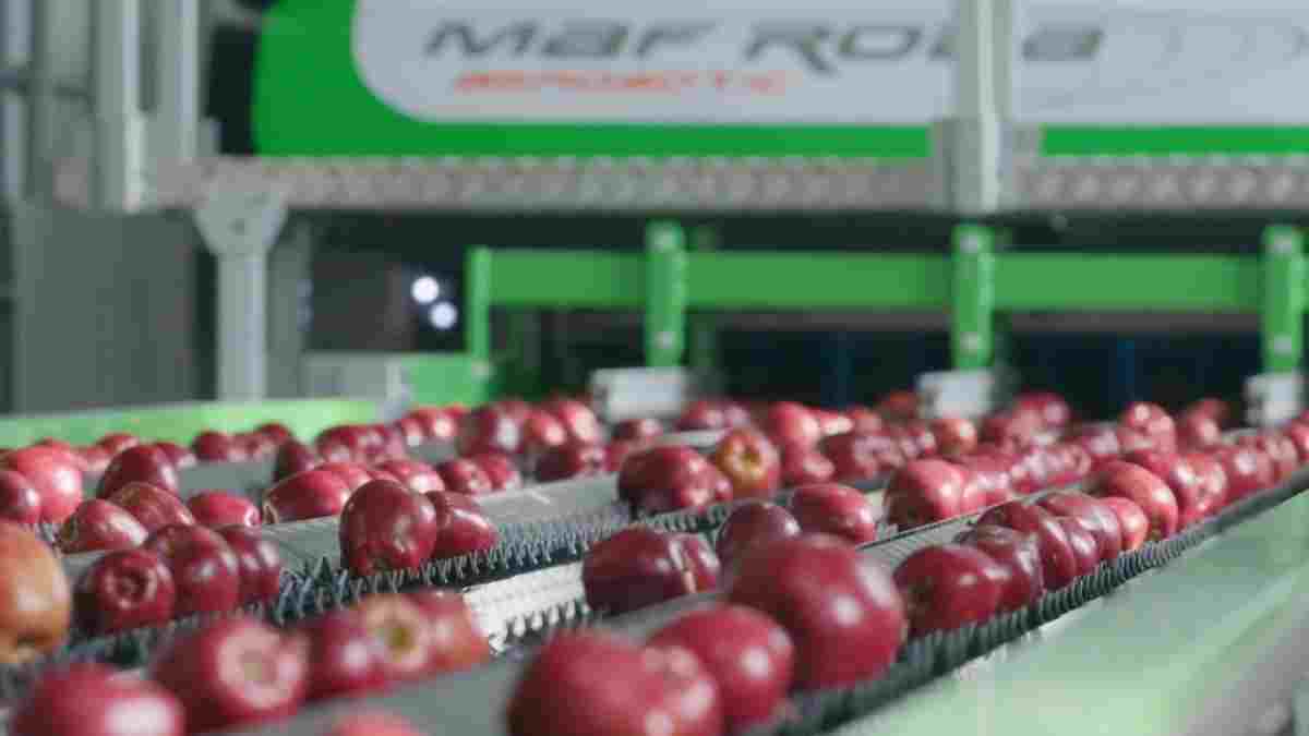 Endüstriyel makinada yerli güç, 60. yılında geleceğe odaklandı