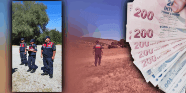 2 Kilosu 15 Kişiye 1 Yıl Yetiyor! Bu Bitkiyi İzinsiz Toplayan Yandı! Cezası 557 bin TL