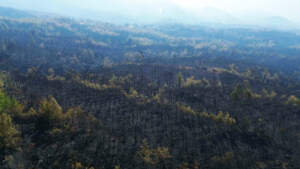 63 Saatlik Kabustan Geriye Kalan… Köyceğiz Artık Kömür Karası