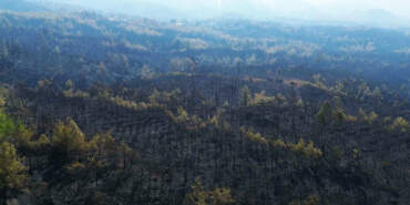 63 Saatlik Kabustan Geriye Kalan… Köyceğiz Artık Kömür Karası