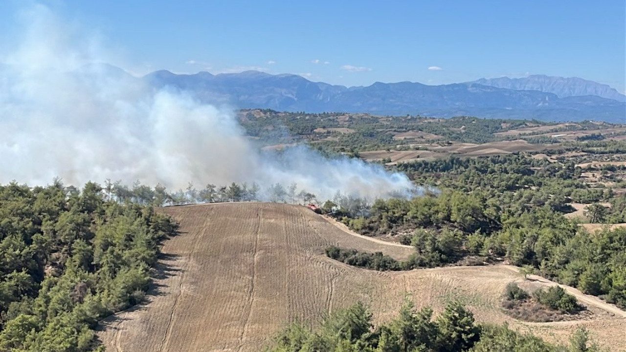 Adana Sarıçam’daki Orman Yangını Kontrol Altına Alındı