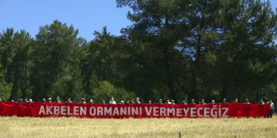 Akbelen’de Katliam Sürüyor… Zeytinlerin Kaderi Talan Şirketinden Maaş Alan Profesörün Elinde! İşte Kamuoyundan Gizlenen O Belge…