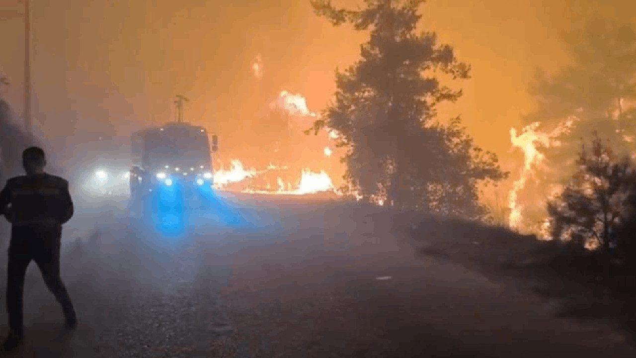 Alanya’da Korkutan Orman Yangını