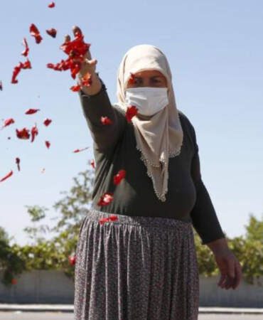 Ata Tohumundan Yetişiyor, Kilosu 750 TL’ye Satılıyor: Damarları Açıyor, Kalbi Saat Gibi Çalıştırıyor