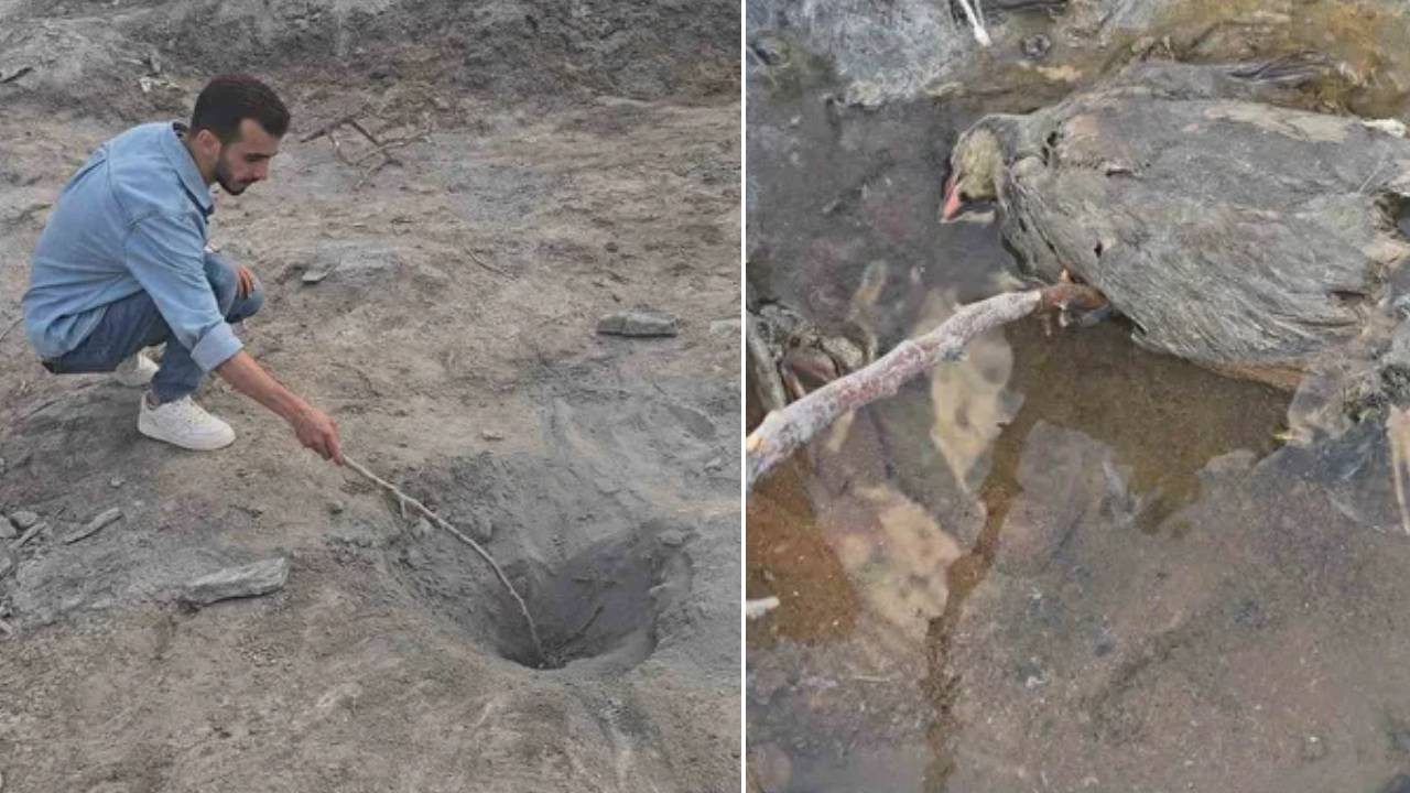 Burası Amerika Değil Türkiye! İnsanlara Şifa Hayvanlara Mezar Oluyor: İşte O Gizemli Vadi…