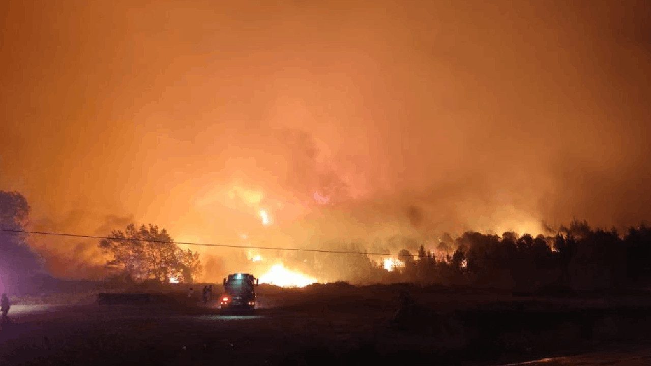 Bursa’da Orman Yangını! Yerleşim Yeri Tehlikede…