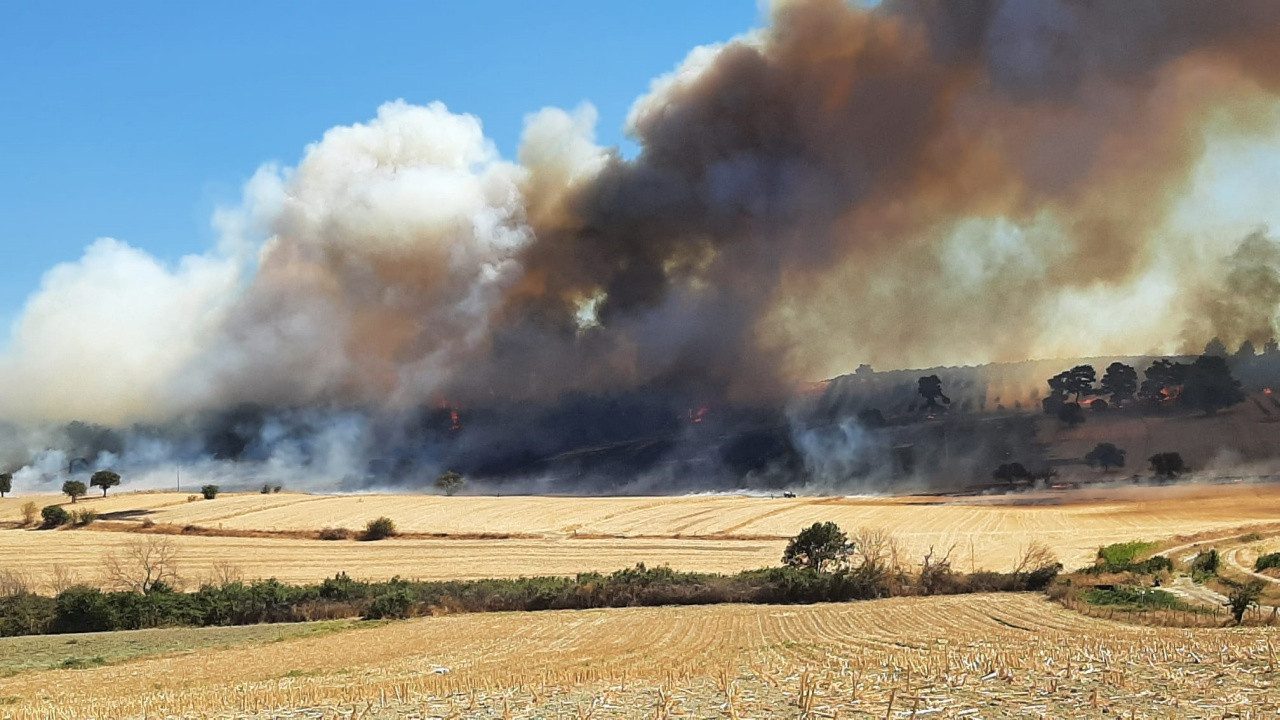 Çanakkale’deki Orman Yangın Kontrol Altına Alındı