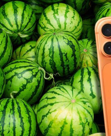 Çiftçiden iPhone 17 Hesabı: Bir Telefon İçin Kaç Ton Ürün Satmak Gerekiyor?