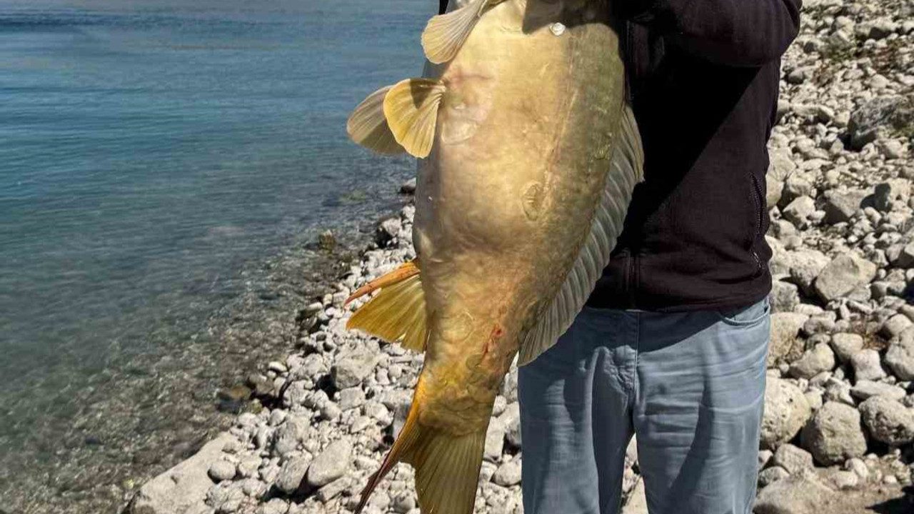 Elazığ’da Barajda Yakalandı! Tam 21 Kilo