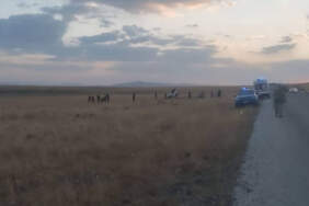 Erzurum Karayazı’da Feci Kaza! 3 Ölü, 1 Ağır Yaralı
