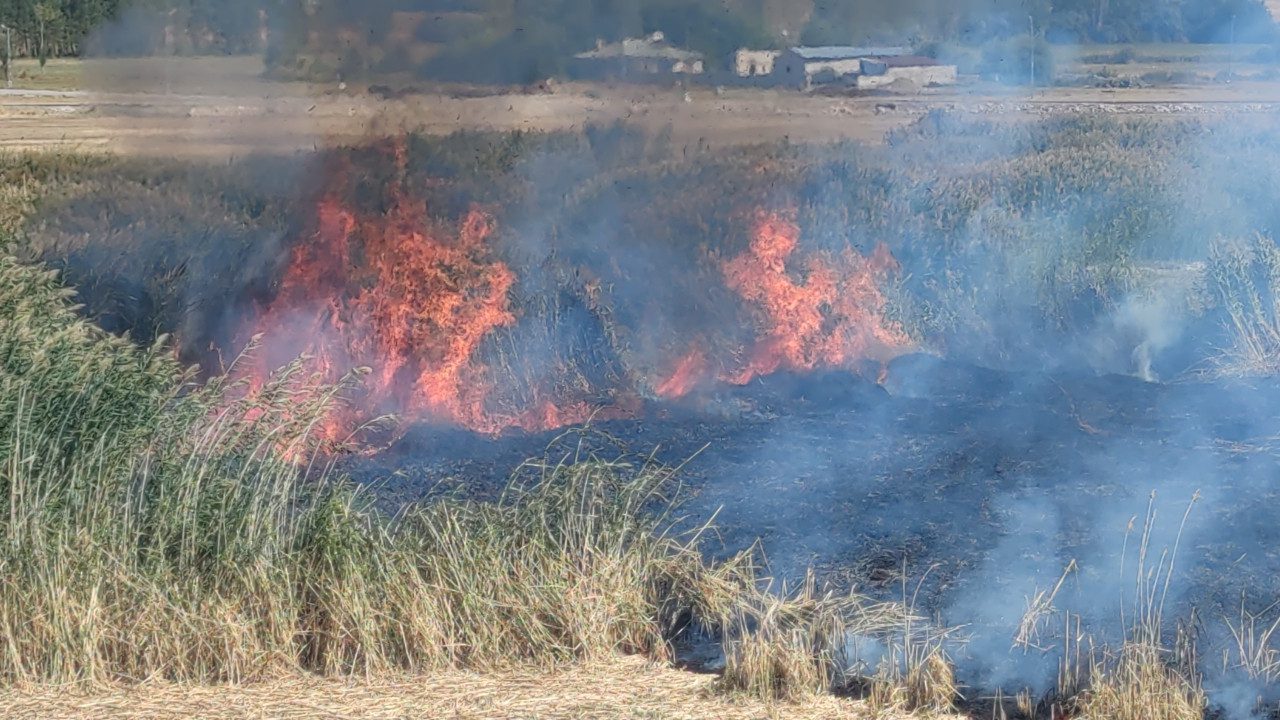 Göçmen Kuşların Yuvasında Yangın! Erçek Gölü Sazlıkları Alevlere Teslim Oldu