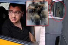 Hayvanlara İşkence Eden Doktor Hakkında Karar