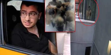 Hayvanlara İşkence Eden Doktor Hakkında Karar