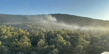 İstanbul’daki Orman Yangını Kontrol Altında