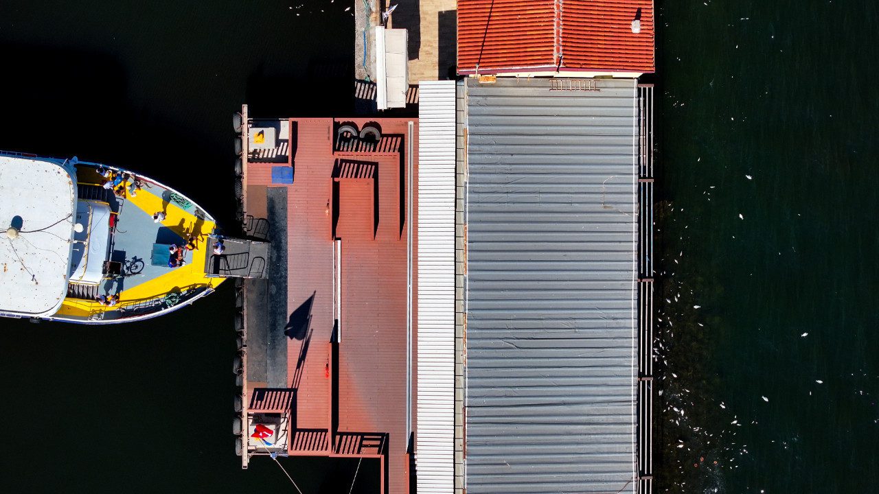 İzmir Körfezi’nde Korkutan Balık Ölümü! Giderek Yayılıyor