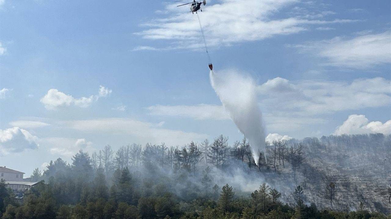 İzmit’teki Orman Yangını Faciasında 2 Kişi Tutuklandı