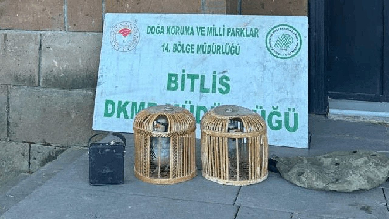 Kaçak Keklik Avına Dev Para Cezası