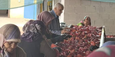 Kadınlar Üretiyor, Hollanda Kapış Kapış Alıyor! Bir Defa Yapılıyor, Bütün Kış Yetiyor