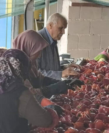Kadınlar Üretiyor, Hollanda Kapış Kapış Alıyor! Bir Defa Yapılıyor, Bütün Kış Yetiyor