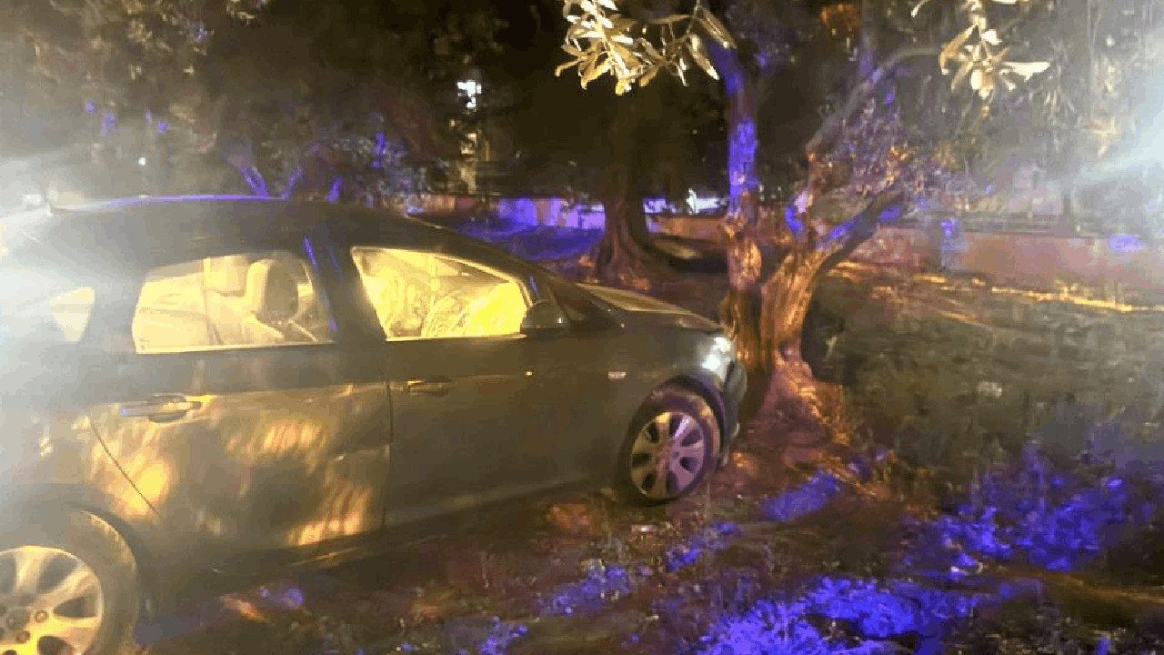 Kontrolünü Kaybeden Araç Zeytin Bahçesine Daldı