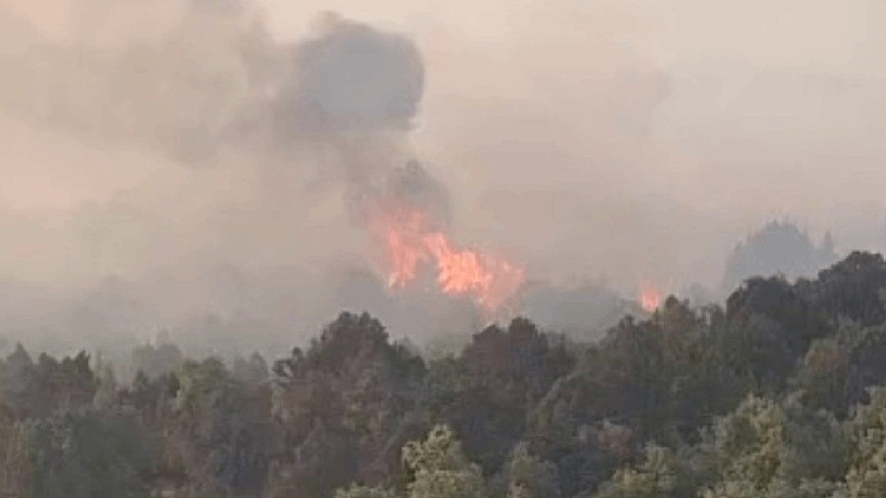 Konya’da Sazlık Alanda Çıkan Yangın, Ormana Sıçradı