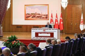 Milli Dayanışma Komisyonu’nda Bu Hafta Akademisyenler ve STK Temsilcileri Dinlenecek
