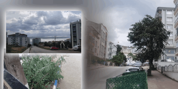 Sinop’u Fırtına Vurdu! Ağaçlar Devrildi, Dalgaların Boyu 5 Metreye Ulaştı
