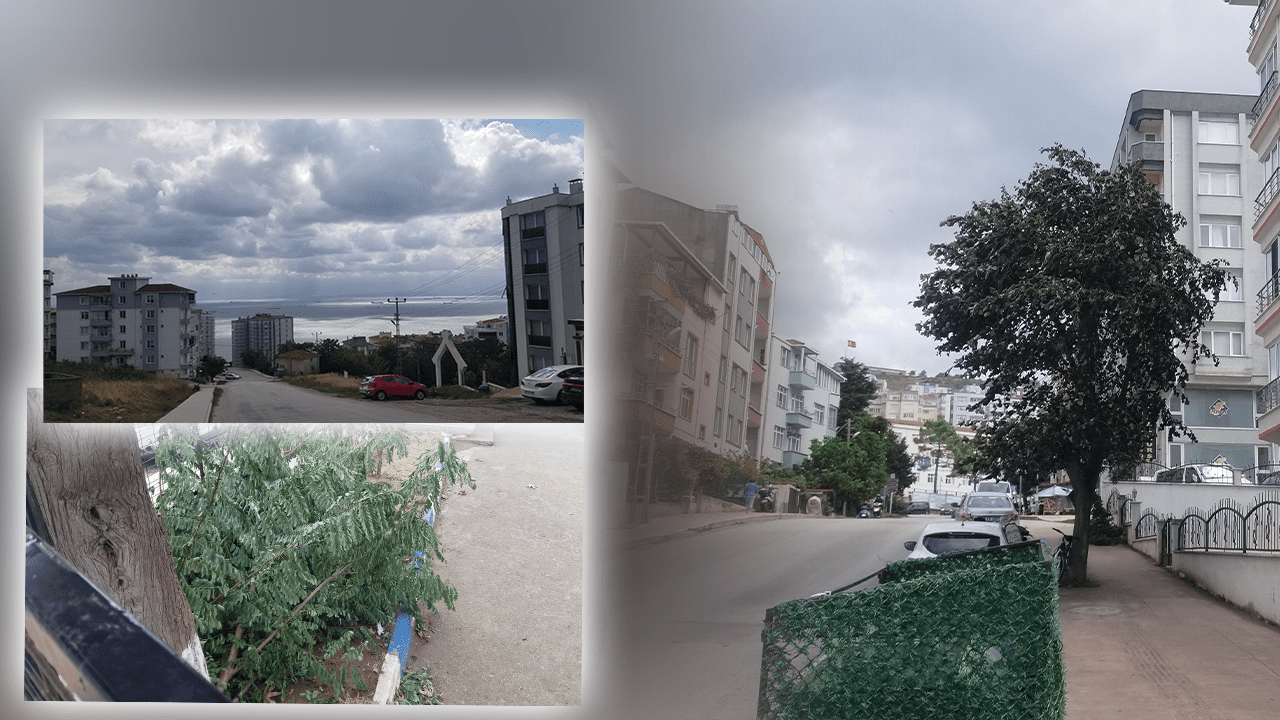 Sinop’u Fırtına Vurdu! Ağaçlar Devrildi, Dalgaların Boyu 5 Metreye Ulaştı