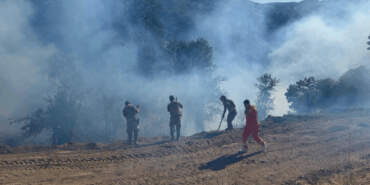 Tunceli’deki Orman Yangını Kontrol Altında